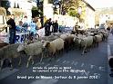 P1050189[1]